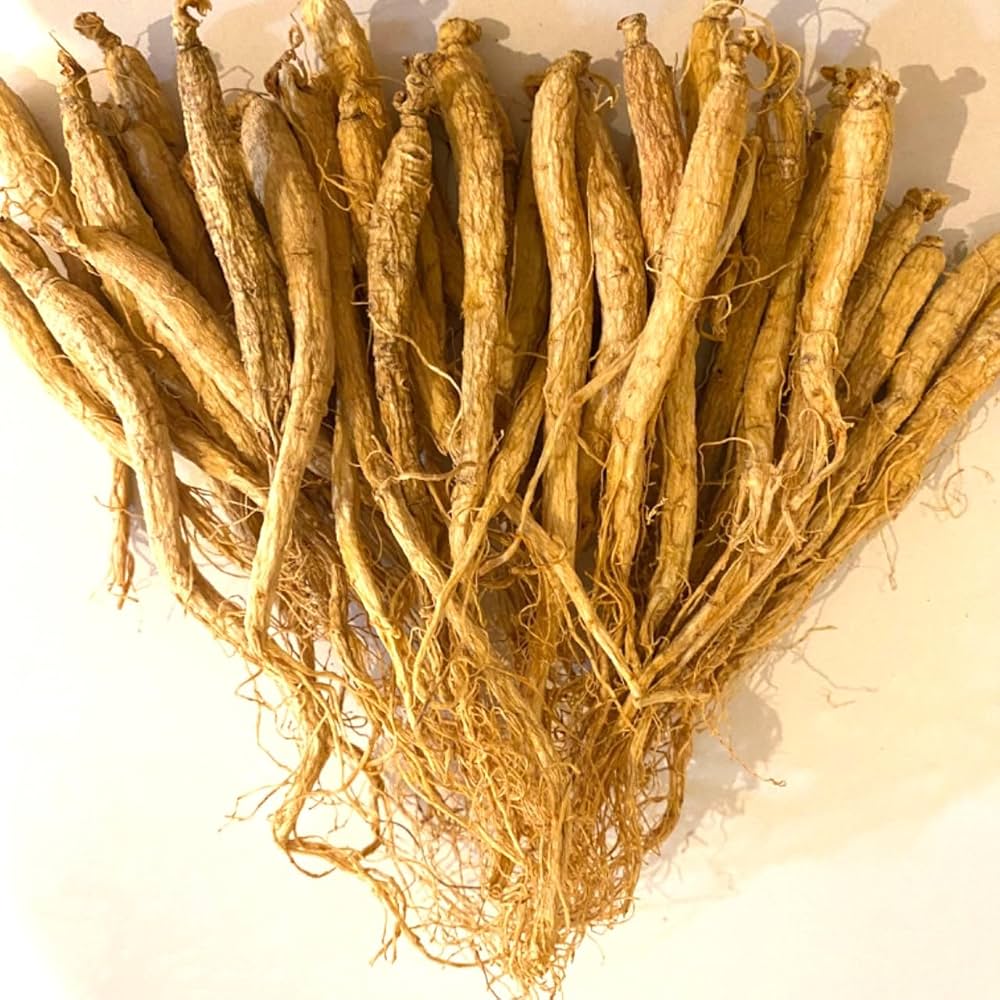 高麗人参